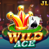 Wild Ace at Nino Gaming